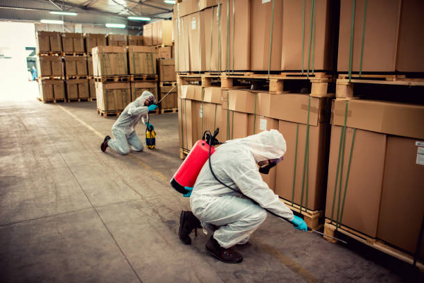 Trusted Isla Vista, CA Pest Control Experts