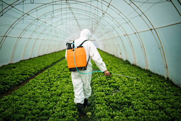Best Pest Control Treatment  in Isla Vista, CA