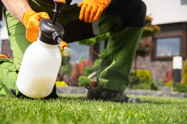Best Pest Inspection Near Me  in Isla Vista, CA