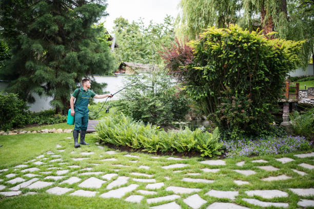 Best Pest Prevention Services  in Isla Vista, CA