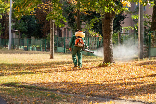 Best Cockroach Control Services  in Isla Vista, CA